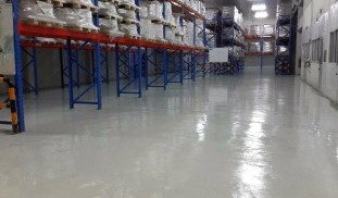 IMG_5141 (Medium).JPG