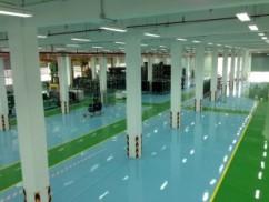 IMG_2456 (Medium).JPG